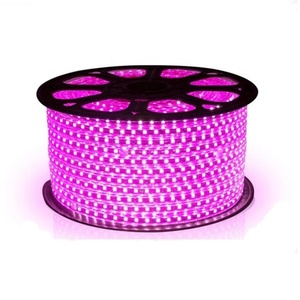 ไฟฟ้าแรงสูง220โวลต์230โวลต์ SMD5050 RGB นำแถบไฟ60LEDs 1เมตรตัด50เมตร/ม้วนที่มีการควบคุมระยะไกล - Product Image 3