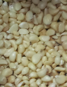 Produttore cinese selezionatore di colore dell'aglio sbucciato macchina per smistare il colore dell'aglio fresco secco - Product Image 6