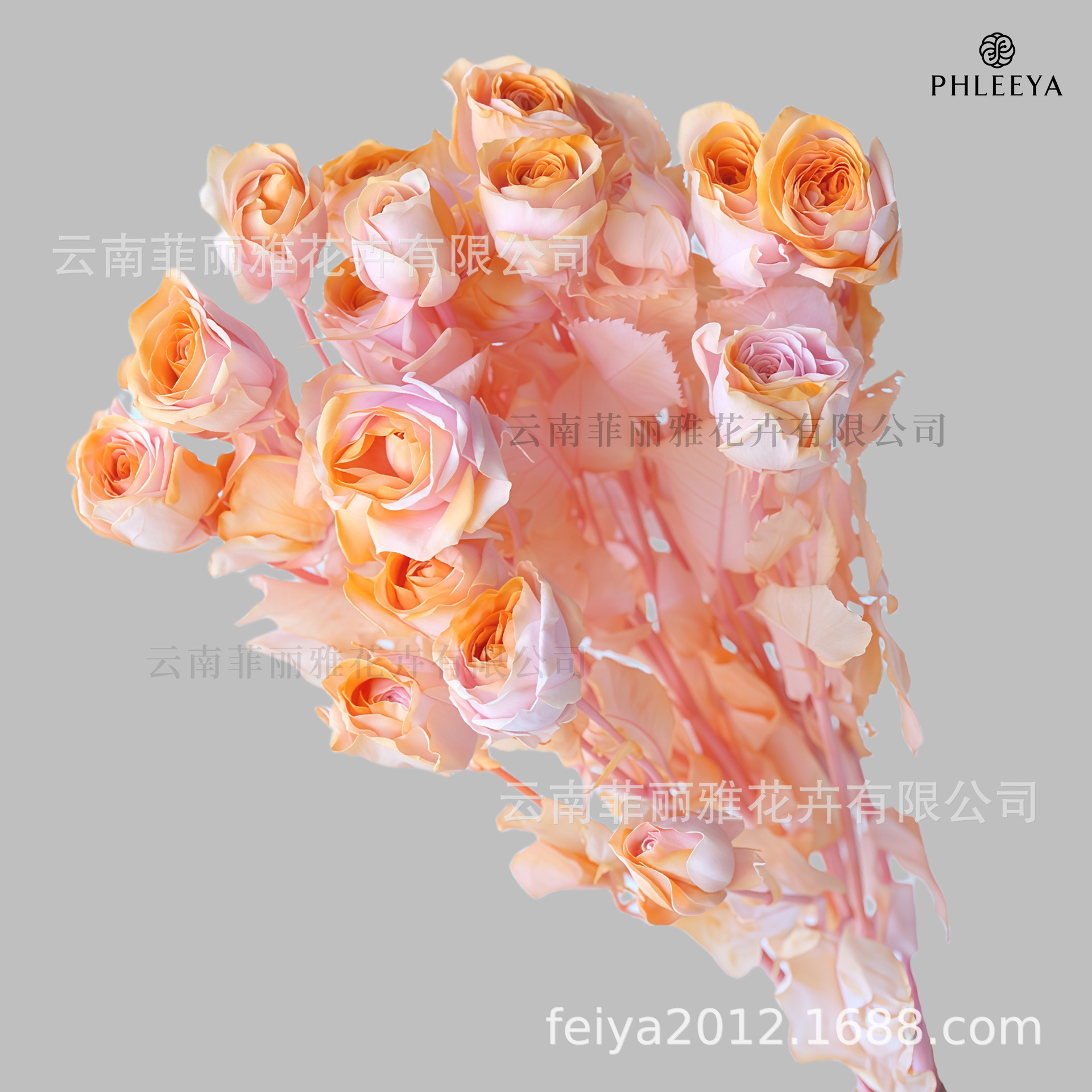 Thé à la rose