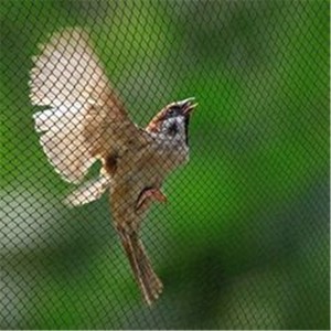 Extrudierte Anti-Vogel-Netz-HDPE-Vogelschutz netze