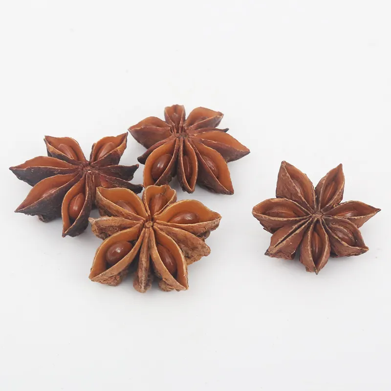Steam treatment Whole star anise High quality Dried spice seasoning star anise