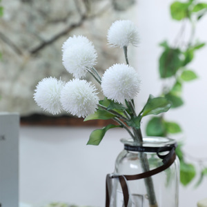 AF0801 بذور زهرة هجينة من الذهب عالي الكمية, بذور من الذهب عالي الكمية ، بذور من القطيفة ، بذور erecta L. من أجل النمو المعجزة - Product Image 2