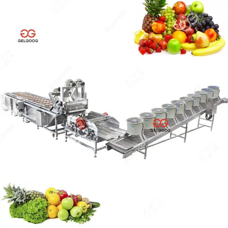 Gelgoog Fruit and Veggie Washing Cleaning Machine Apple Water Carrot Air Bubble Vegetable Cleaner Strawberry Cleaning Machine