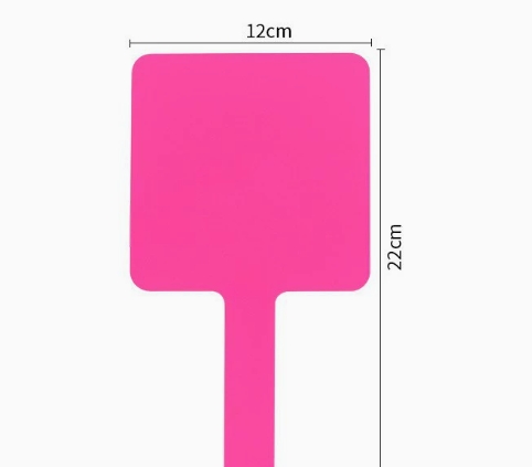 rose vif