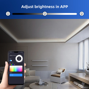 Smart Home Tuya Wifi <strong>Controller</strong> Dc5-24V Cct Rgb Rgbw Rgbwc <strong>Dimmer</strong> Zigbee Led Strip <strong>Controller</strong> - Product Image 6