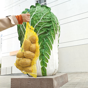 Peネットバッグポテトラシェル袋袋最高品質野菜パッケージ