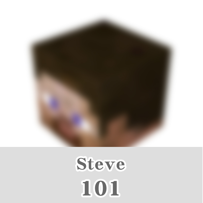 101-steve