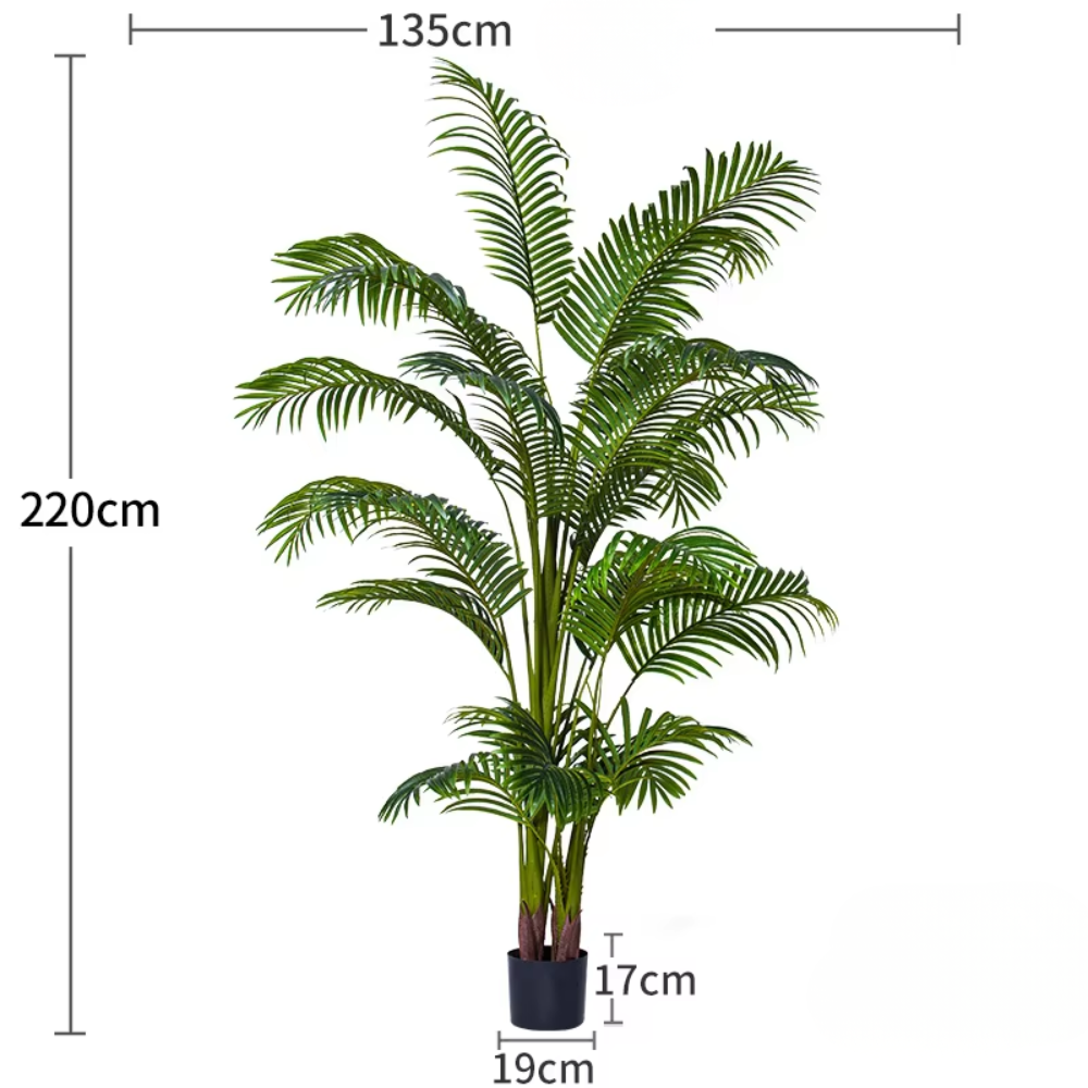Palmier Areca vert à branches hautes de 2,2 m