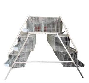 Автоматический оцинкованный слой для птицефабрики - Product Image 5
