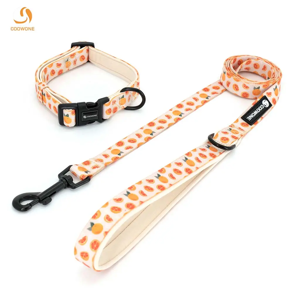 Benutzer definierte Hunde leine Set Personal isierte Nylon verstellbare Private Label Dog Leads Halsbänder