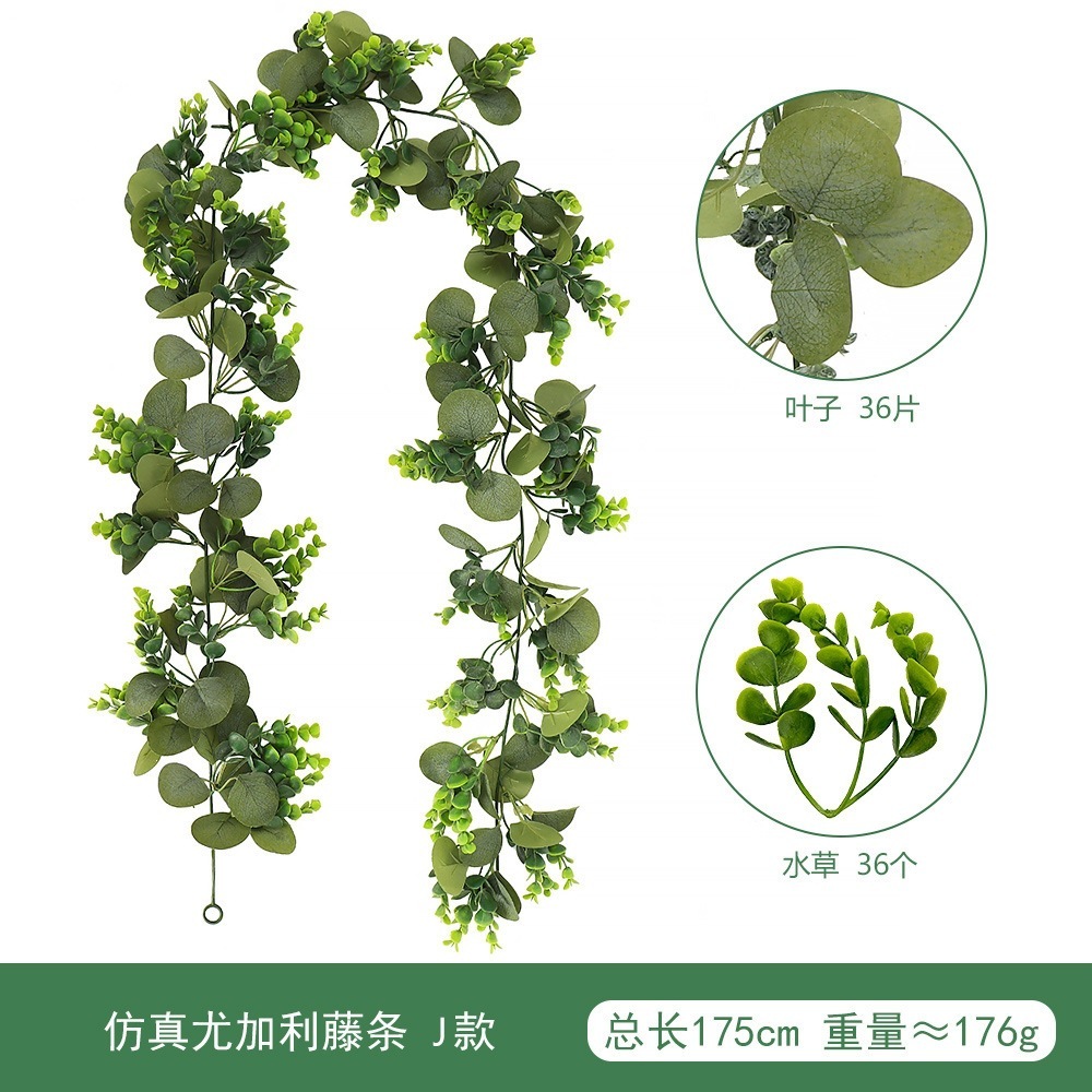 Canne en rotin d'eucalyptus, style J (36 pièces)
