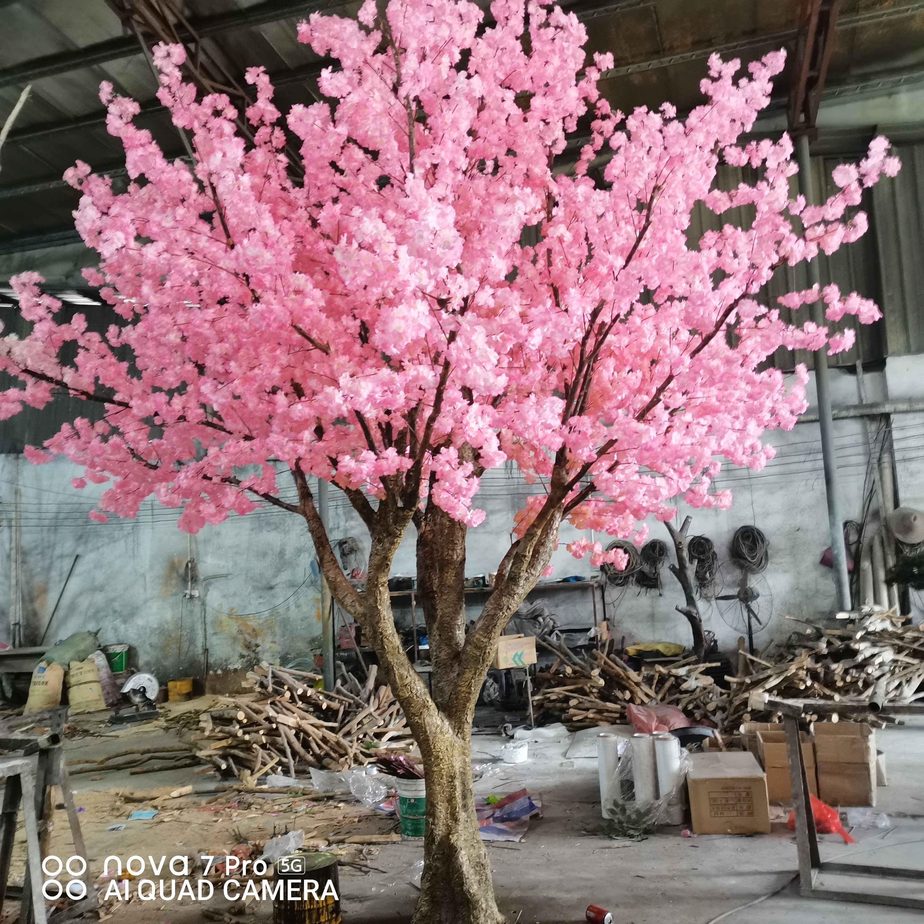 Pink02