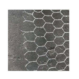 Anping Red de pollo galvanizado red de alambre hexagonal para conejo red de alambre de punto de acero inoxidable - Product Image 1