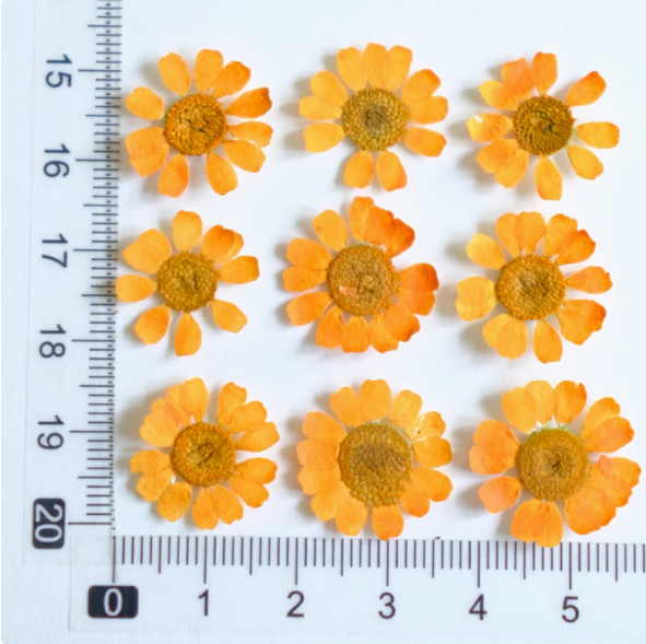 MH657-Dyed Orange-12pcs