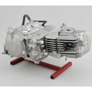DAYTONA <strong>ENGINE</strong> IAnima 4V 190CC Engne Motorcycle Kick Start 4 Stroke Big Power <strong>Engine</strong> Oil Cooling 1 Cylinder - Product Image 3