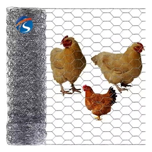 Galvanized <strong>Hexagonal</strong> Wire <strong>Netting</strong>/<strong>hexagonal</strong> Wire Mesh/chicken Coop Wire Mesh - Product Image 4