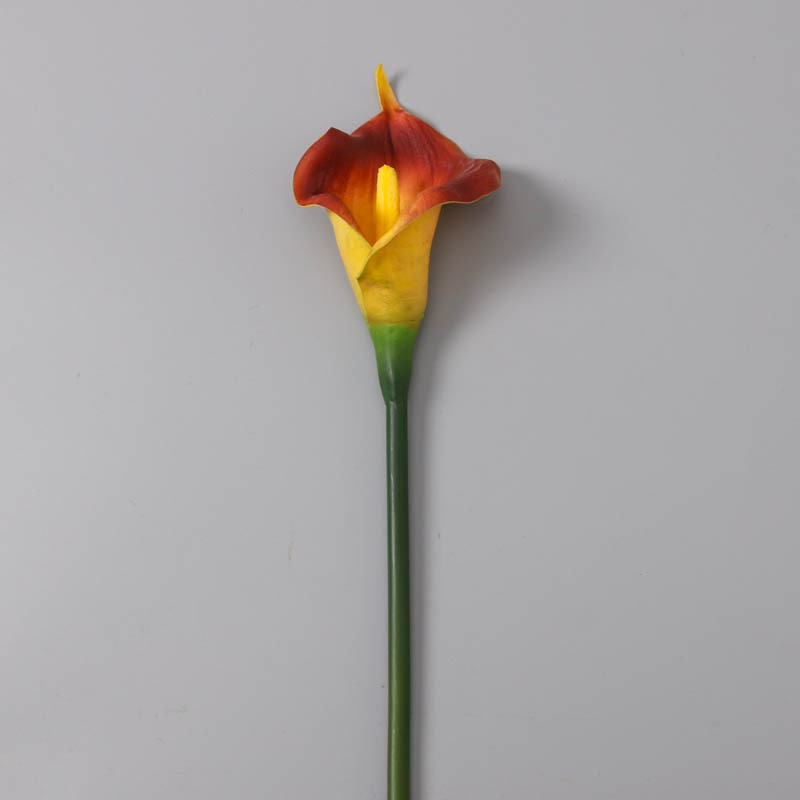 Rouge jaune