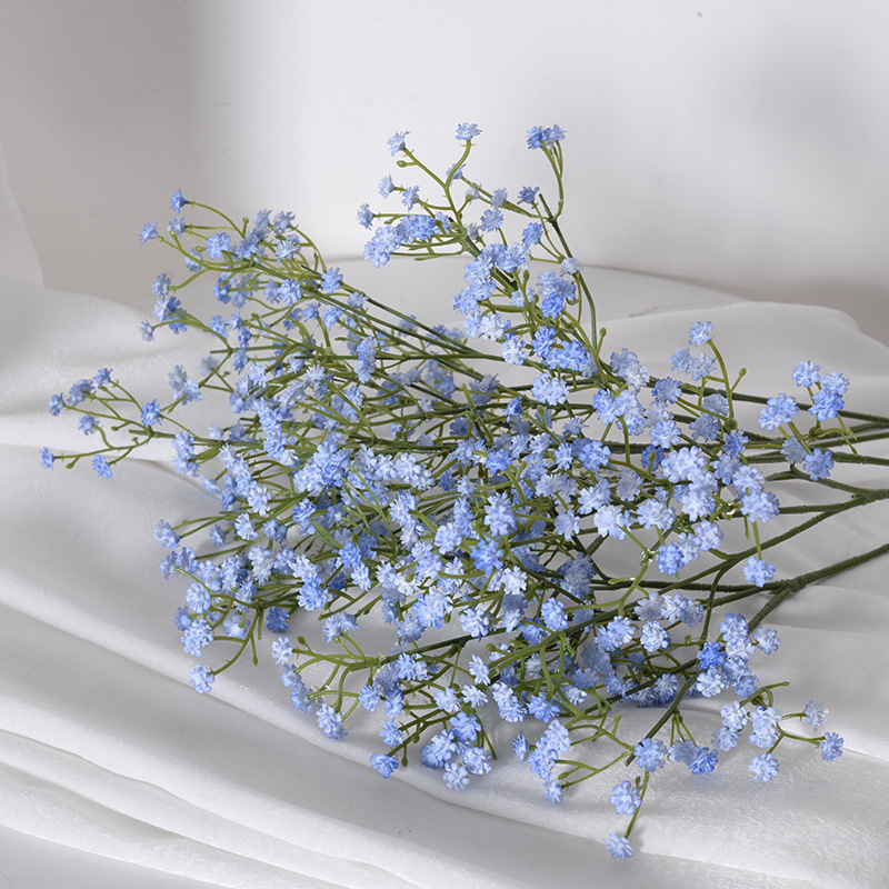 Blu-chiaro