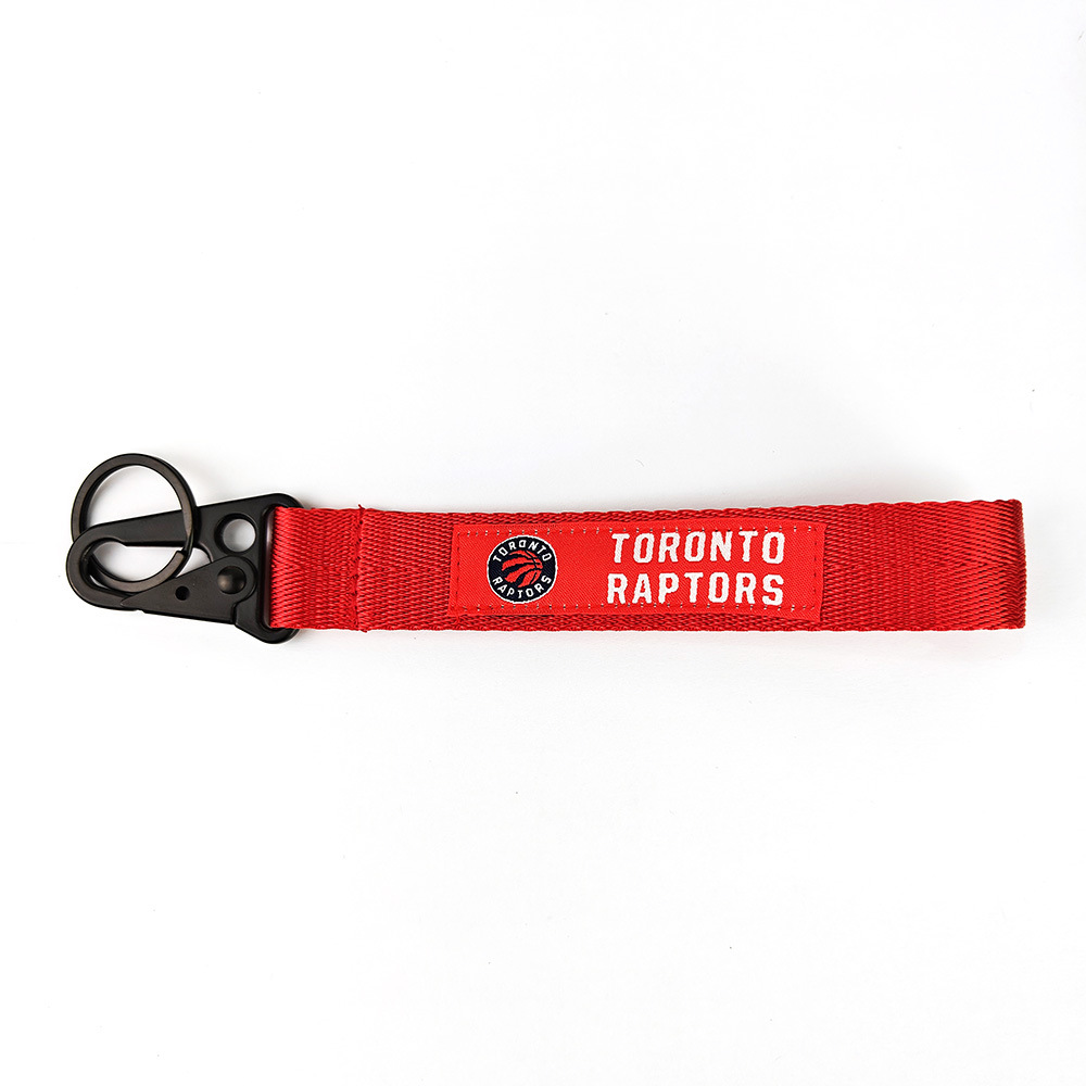 Toronto raptors