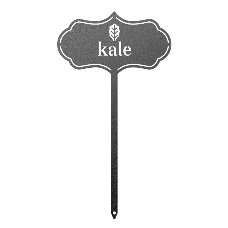 Black-Kale
