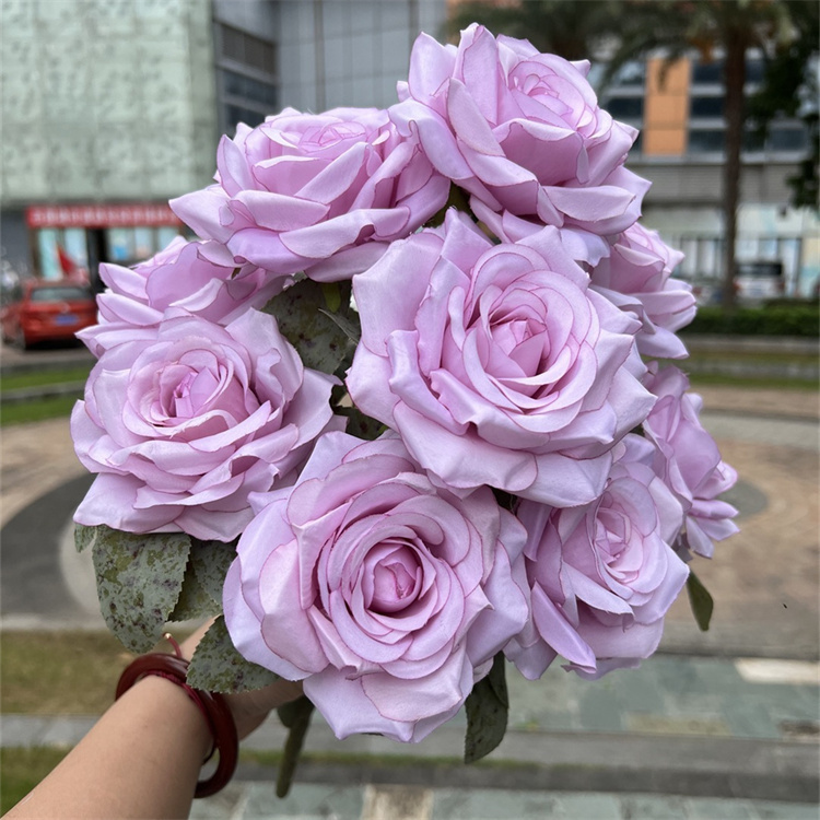 Pourpre