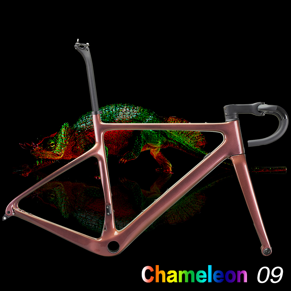 Caméléon 09