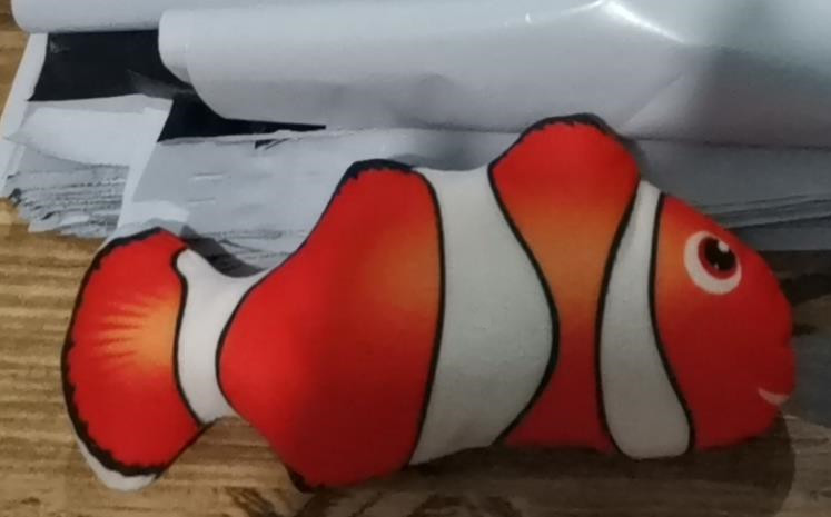Amphiprion à dos noir