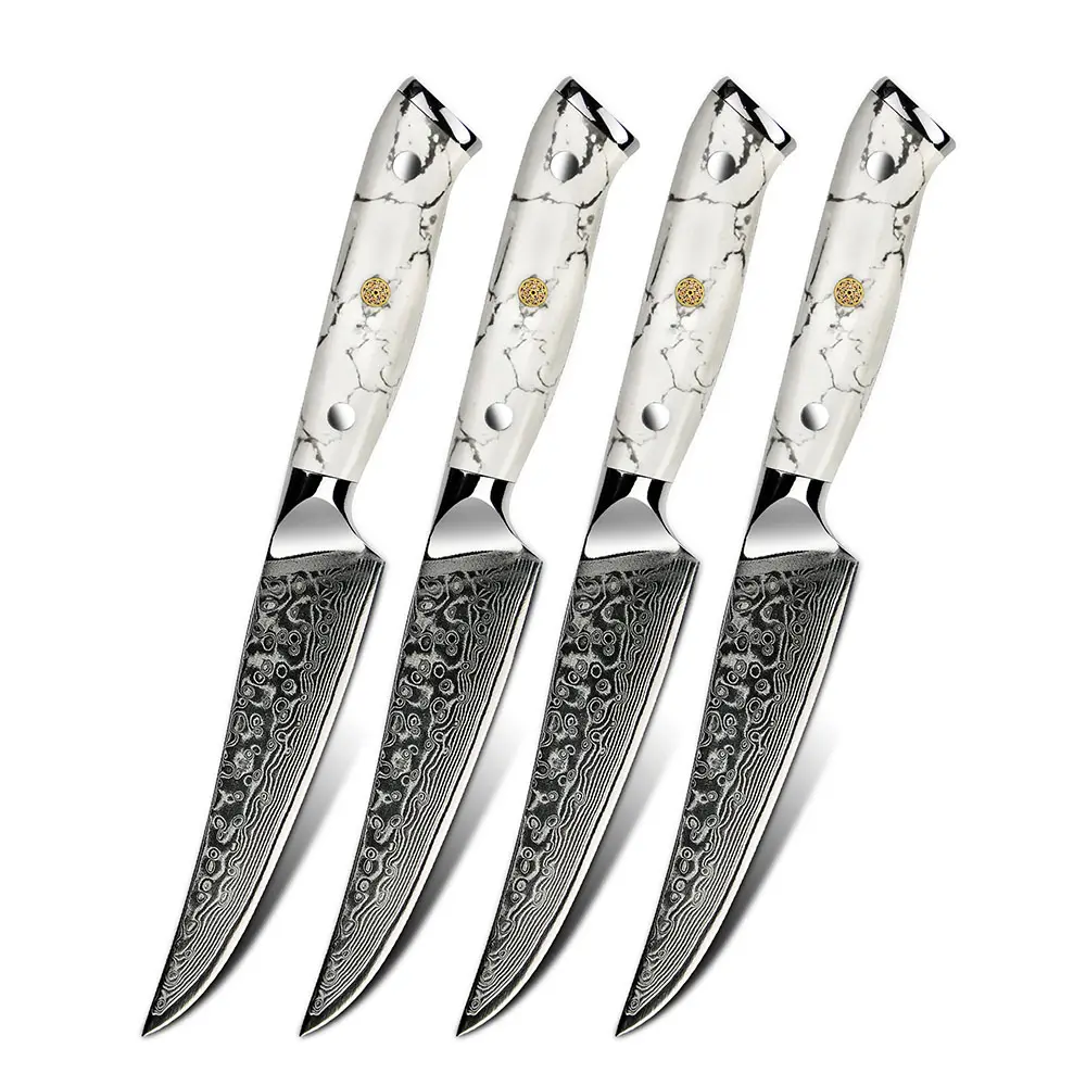 Chuyên Nghiệp 4 Cái Damascus Lưỡi Thép Steak Knife Set Với Ergonomic Trắng Ngọc Lam Đá Xử Lý