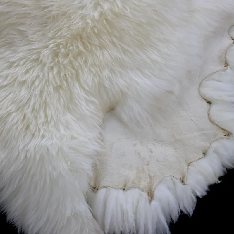 Sang trọng Kem cừu ẩn tóc dài Fluffy sinh thái thân thiện lớn Úc da cừu