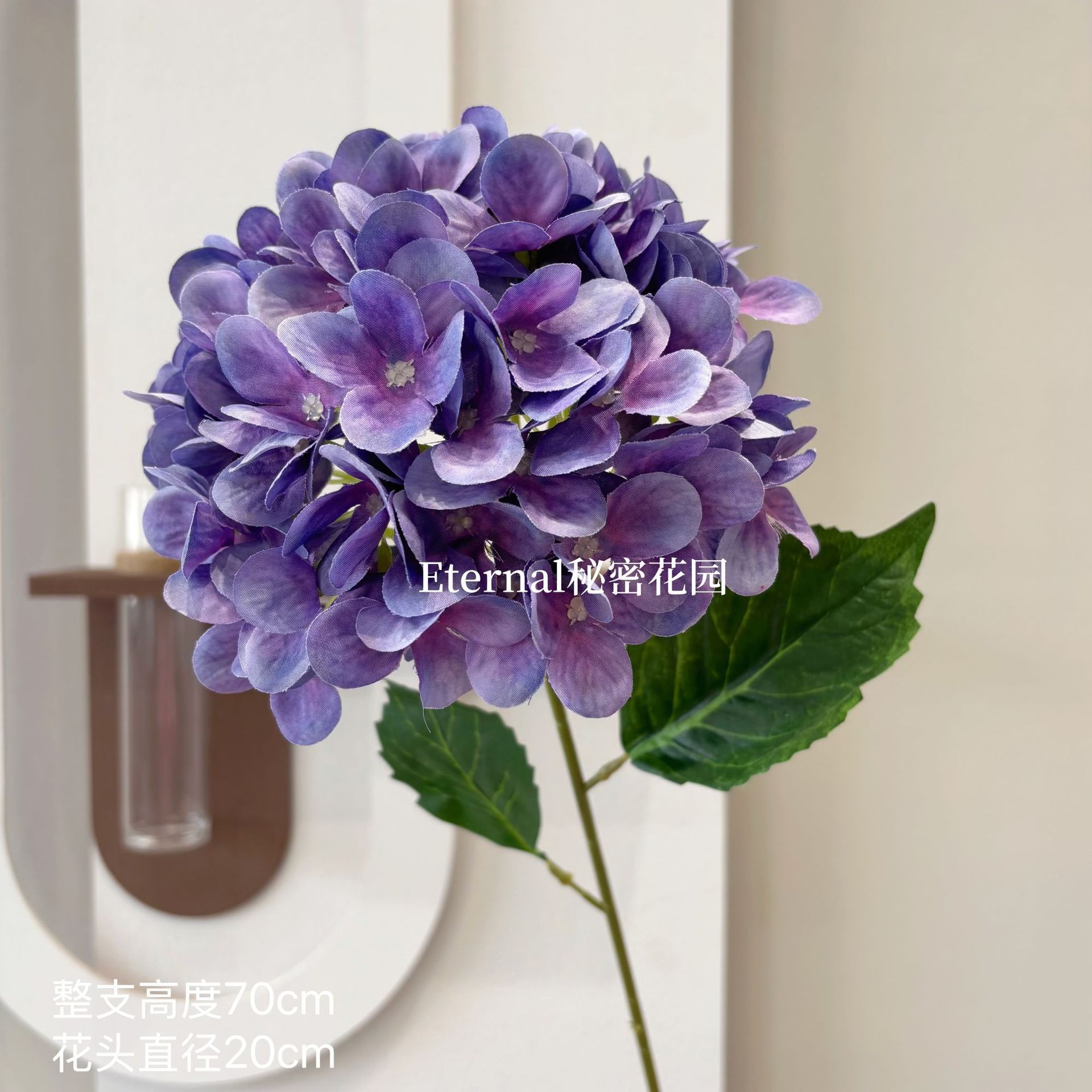 Hortensia de Bella, violet foncé