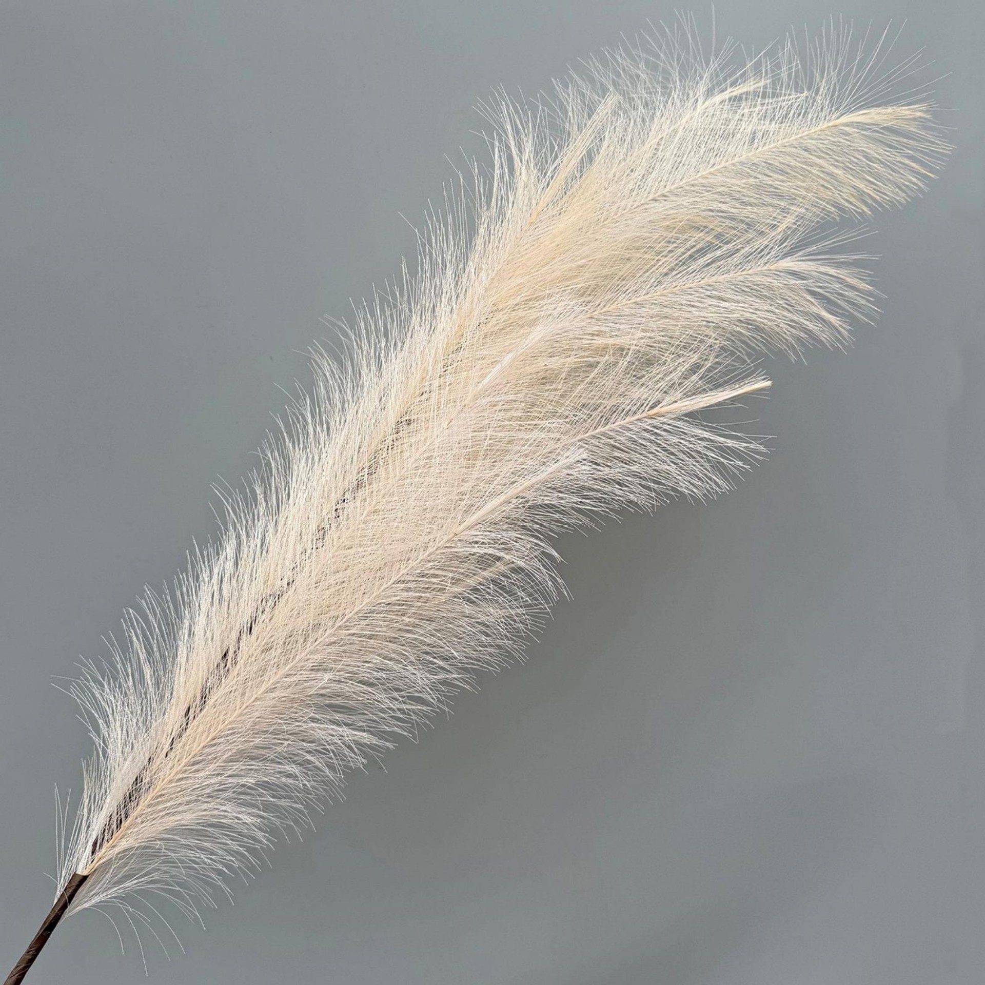 12 Reeds-Champagne-118cm