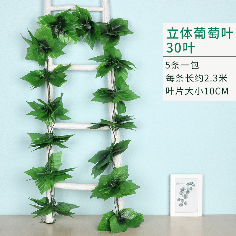 Grande taille, 30 feuilles par vigne (paquet de 5)