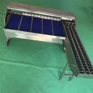 Selezionatrice commerciale di classificazione dell'uovo del selezionatore di dimensione dell'uovo con il selezionatore dell'uovo dell'anatra del sollevatore dell'uovo/selezionatrice del peso/macchina livellatrice dell'uovo - Product Image 3