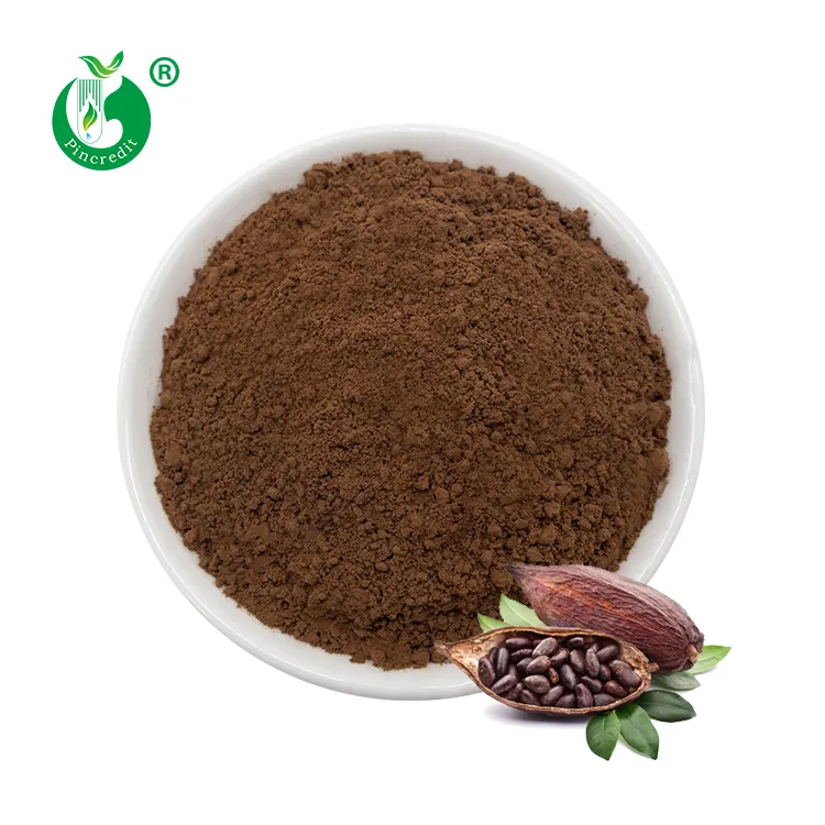 Poudre de cacao brut naturel pur brun rougeâtre faible en gras de Chine prix de gros de l'emballage de 25kg