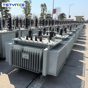 紧凑型耐用100kVA工业三相油浸式变压器220V/380V/440V输出10KV/6KV/35KV输入50Hz/60hz频率 - Product Image 5