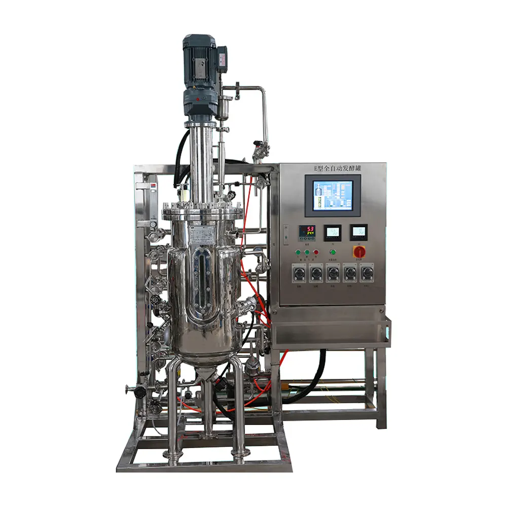 Réservoir de 1000 ml de laboratoire industriel en acier inoxydable, pour fermentage biologique