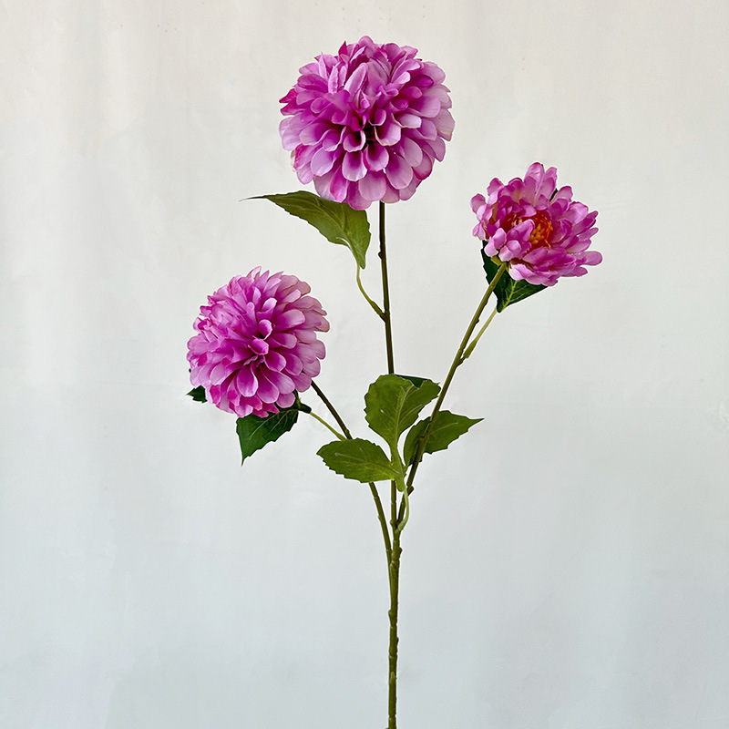 Parfum caché violet