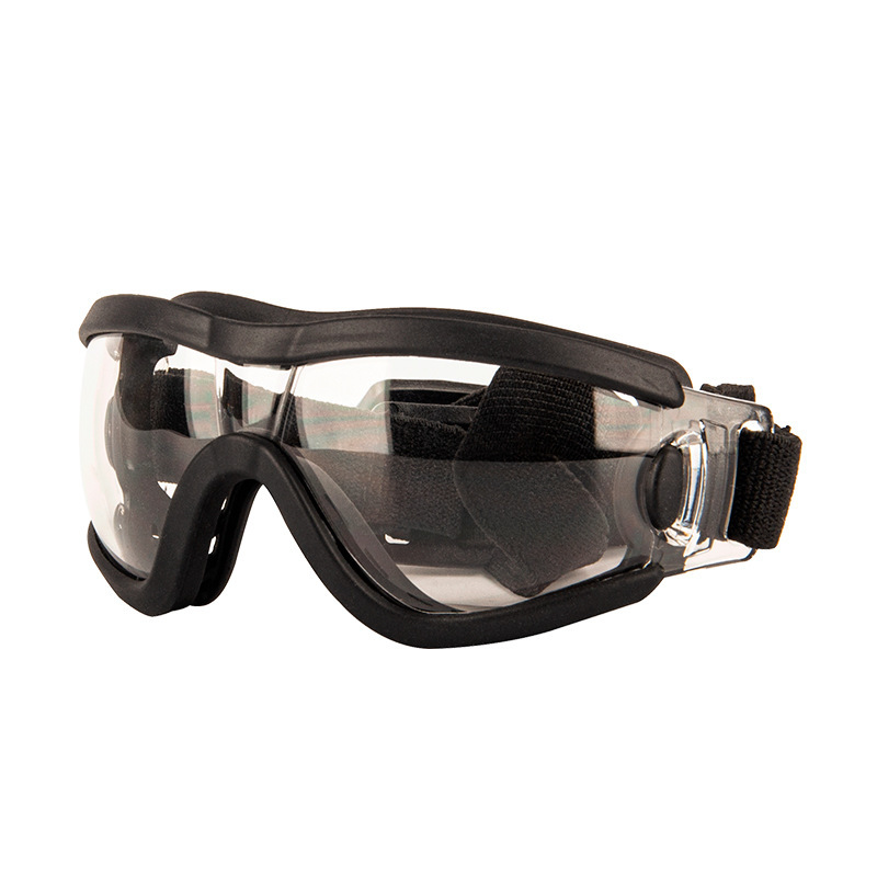Lunettes pour animaux de compagnie - monture noire transparente
