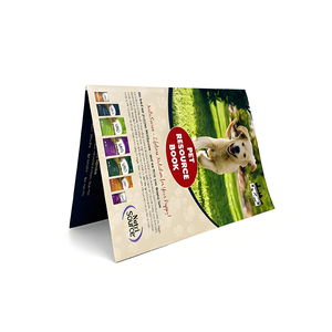 Sản xuất tùy chỉnh không thấm nước A4 giấy tập tin tài liệu Pocket Folding thư mục với Flap - Product Image 3