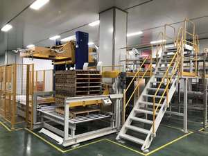 Intelligentize <strong>Robot</strong> Stacker for Food Industry - Product Image 4
