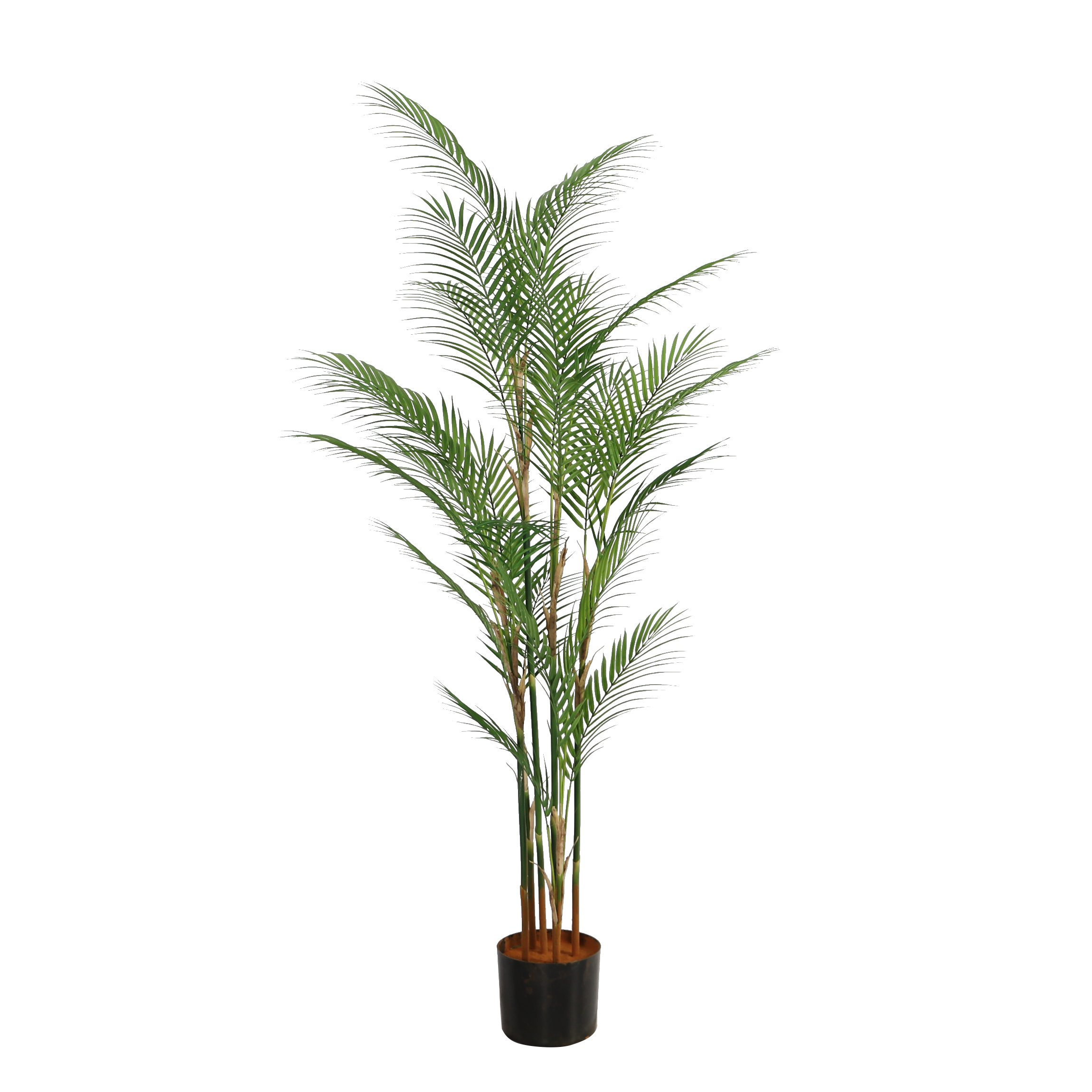 150cm