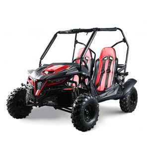 1100cc באגי (<span class=keywords><strong>eec</strong></span> ללכת kart k3 k5 k7 /ee באגי)/<span class=keywords><strong>1000cc</strong></span> kart באגי