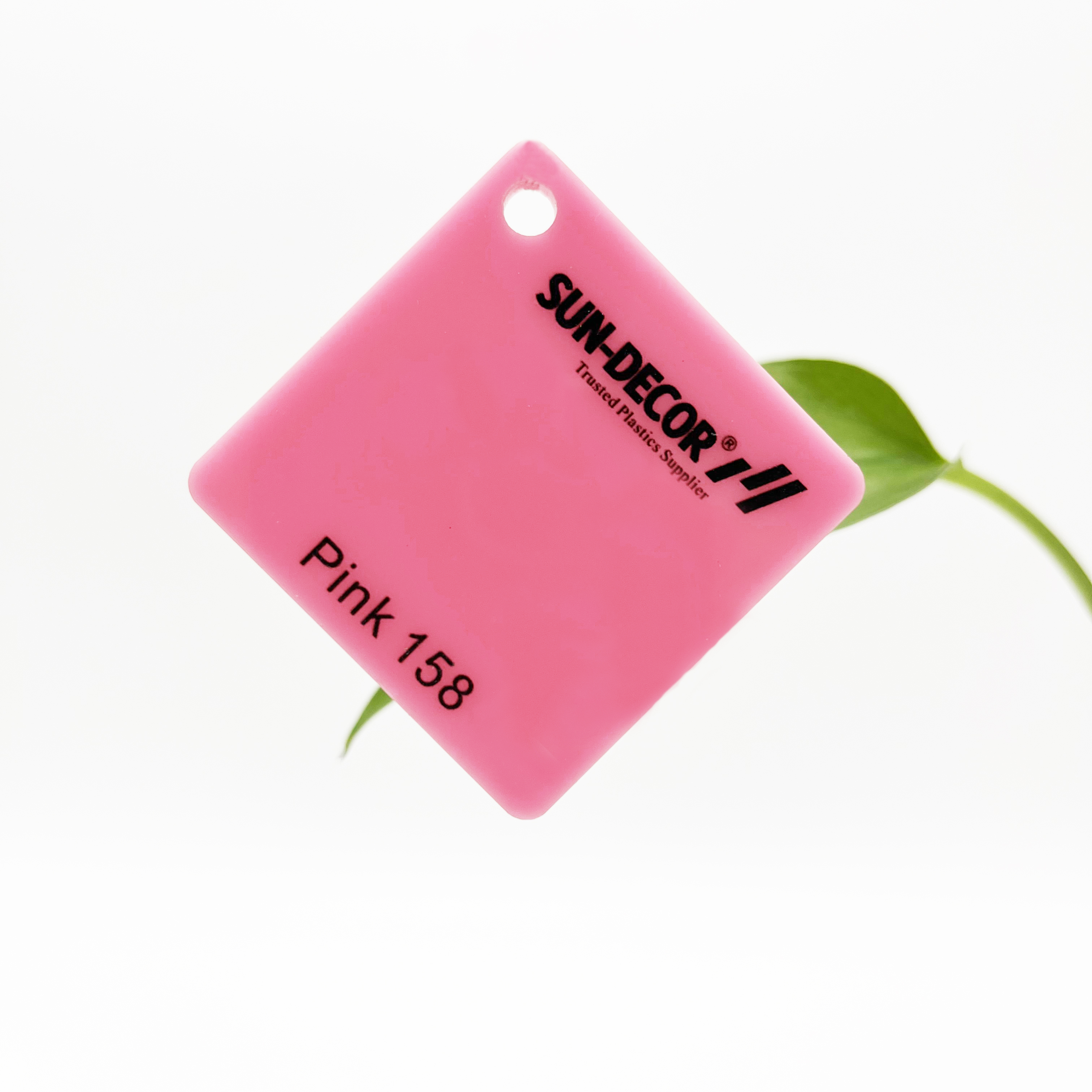 rosa 158