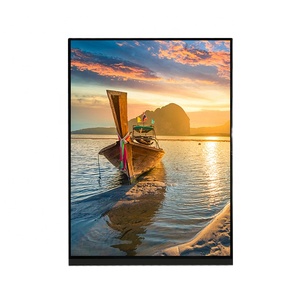 Sharp LQ079L1SX01 Original 7.9 Inch TFT <strong>LCD</strong> <strong>Module</strong> 1536x2048 IPS <strong>LCD</strong> <strong>Display</strong> For Industrial <strong>Machine</strong> - Product Image 3
