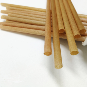 OEM制造商定制6 8 10 12毫米天然可生物降解可堆肥甘蔗吸管果汁吸管 - Product Image 3