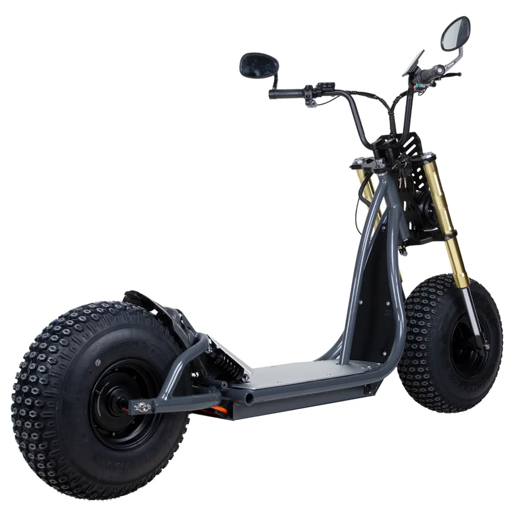 Off Road yeni elektrikli scooter 2000W alüminyum alaşım yağ lastik Citycoco erkekler ve kadınlar için çıkarılabilir lityum pil