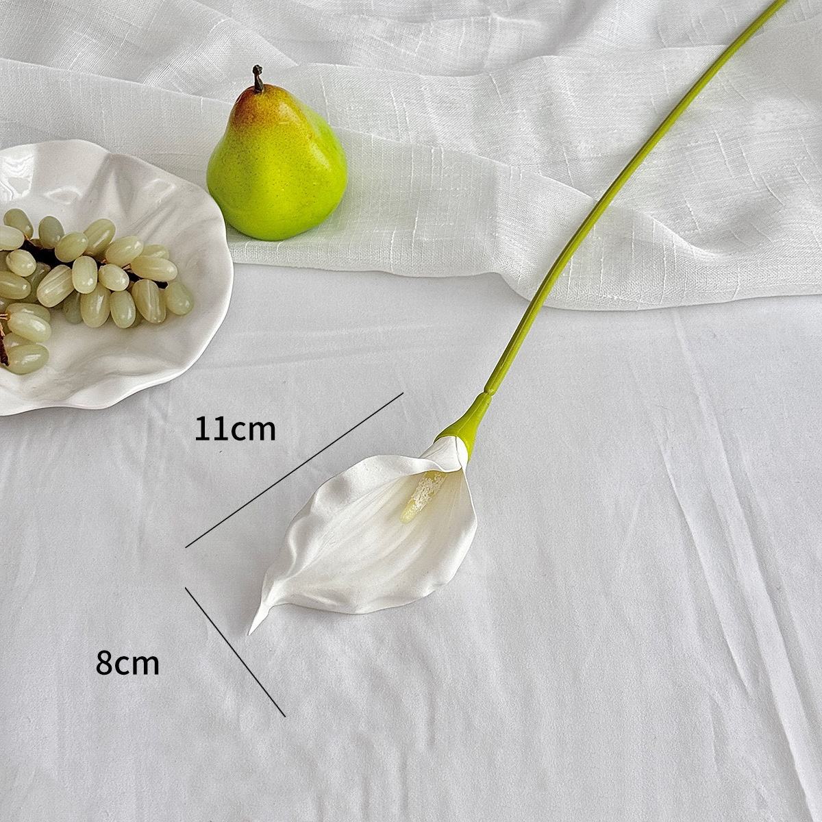 Blanc, taille moyenne