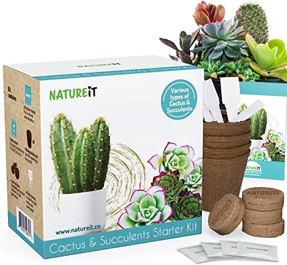 Kit inicial de cultivo de plantas personalizadas com pote de fibra de coco para suculentas de ervas e fertilizantes de cactos