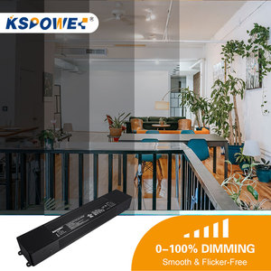 Controlador de Voltaje de Entrada Universal, Controlador LED sin Parpadeo de Clase 2, 24V, 60W, IP67, Impermeable, Pwm, Triac, Regulable, 24V