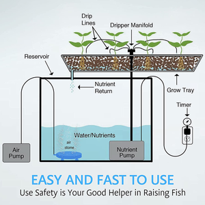Pasokan Langsung dari Pabrik Batu Udara Akuarium dengan Cangkang untuk Peternakan Udang - Product Image 6